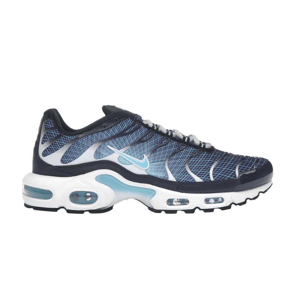 Nike Air Max Plus — Dark Obsidian