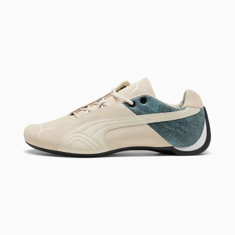 Puma puma future cat